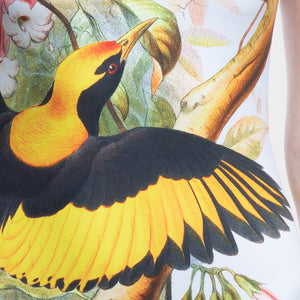 Bird of Paradise - One-Piece Swimsuit